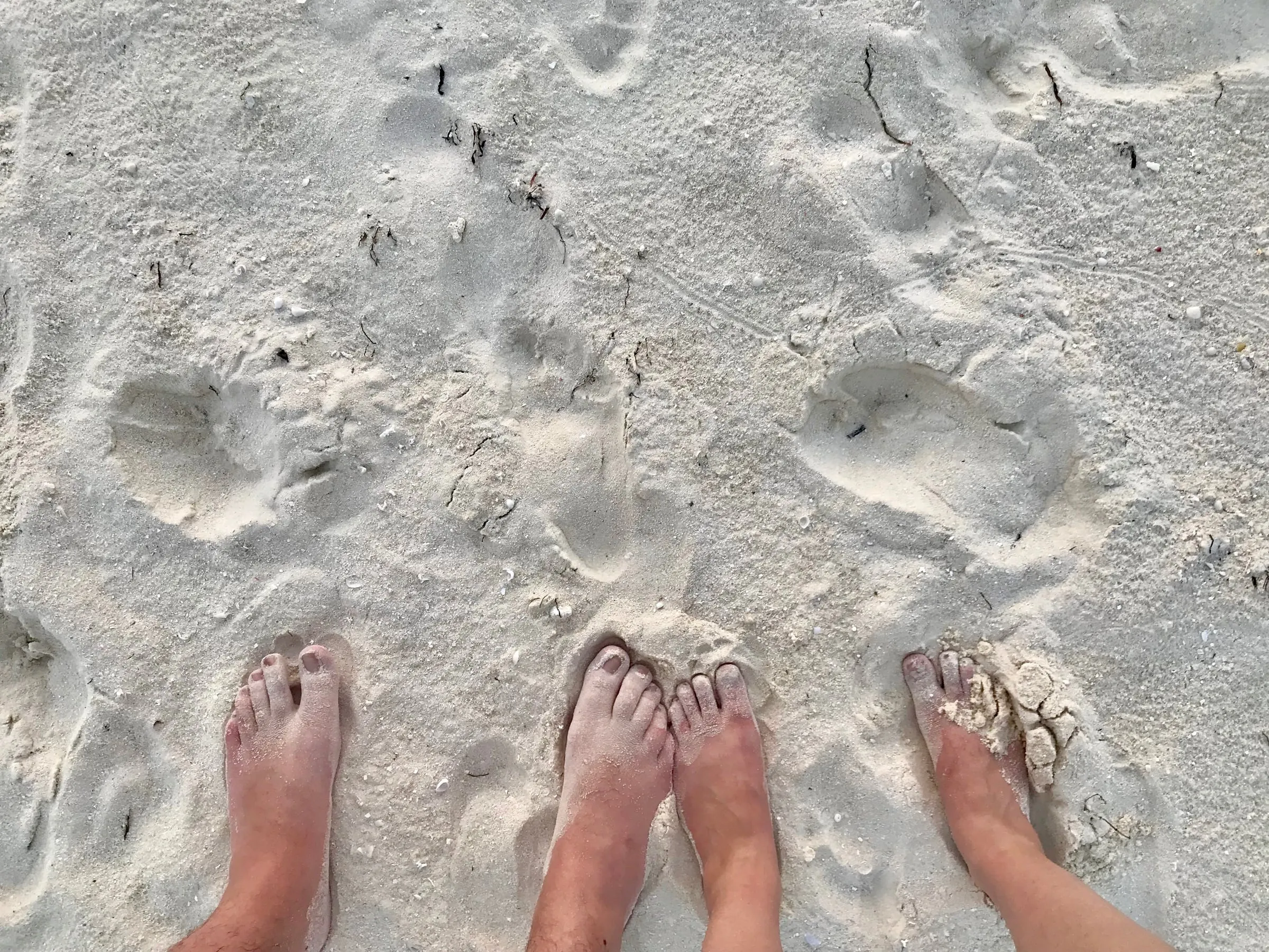 Travel Diary: Maldives Honeymoon