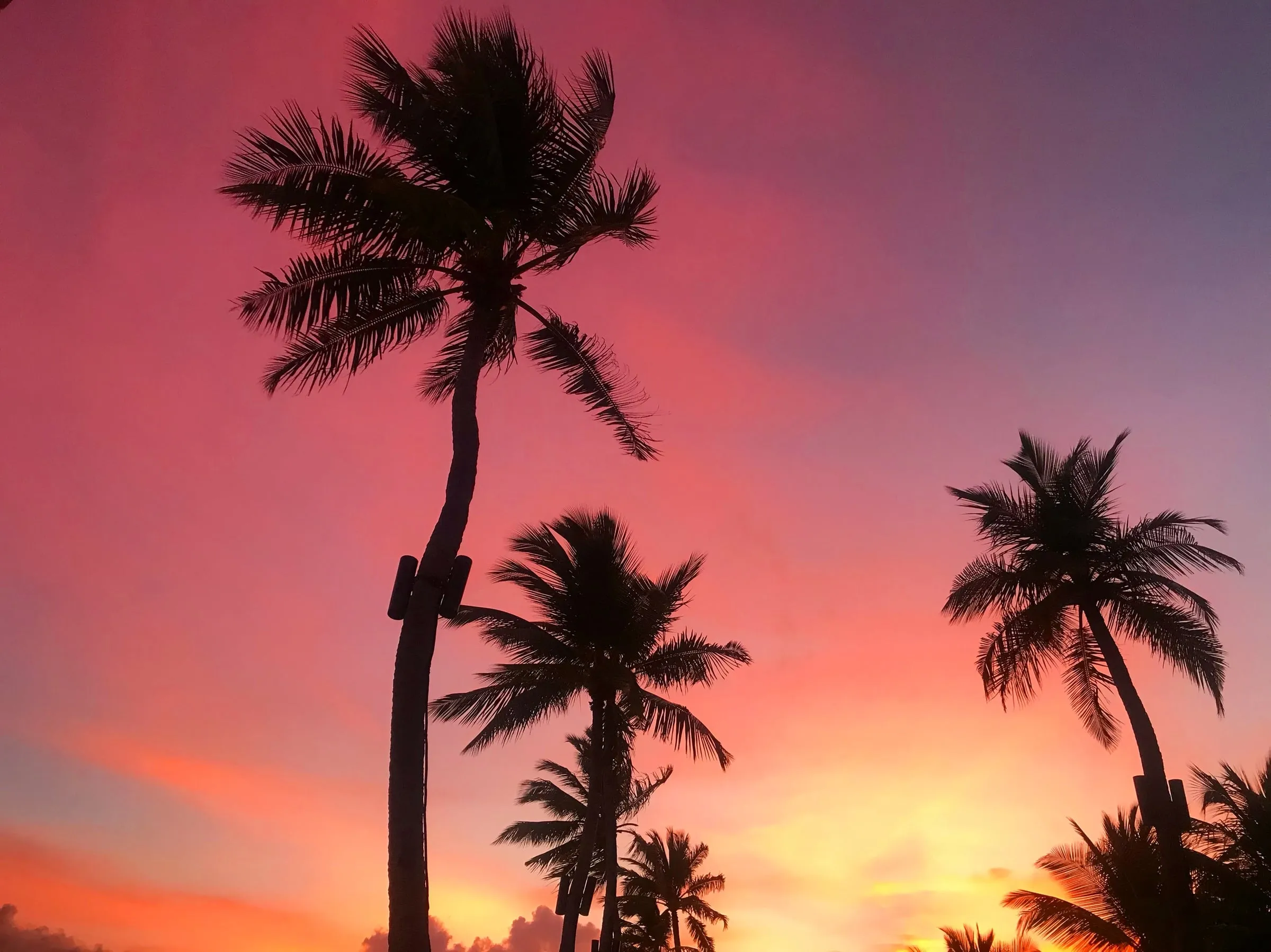Travel Diary: Maldives Honeymoon